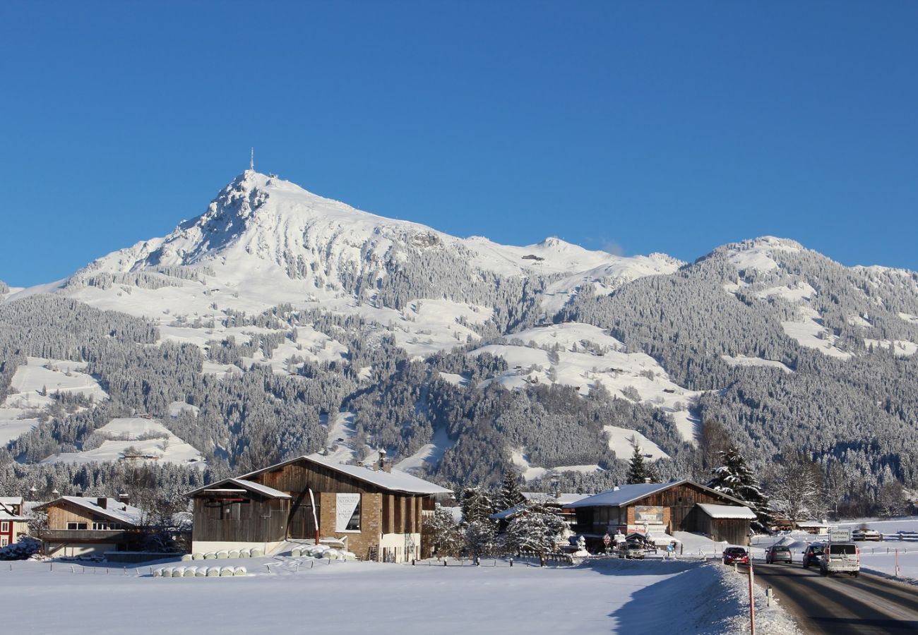 Appartement in Jochberg - Adler