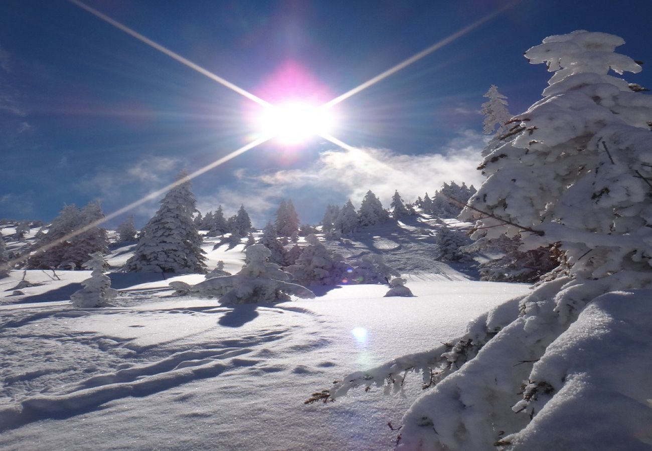 Studio in Kirchberg in Tirol - Alpine's Nest