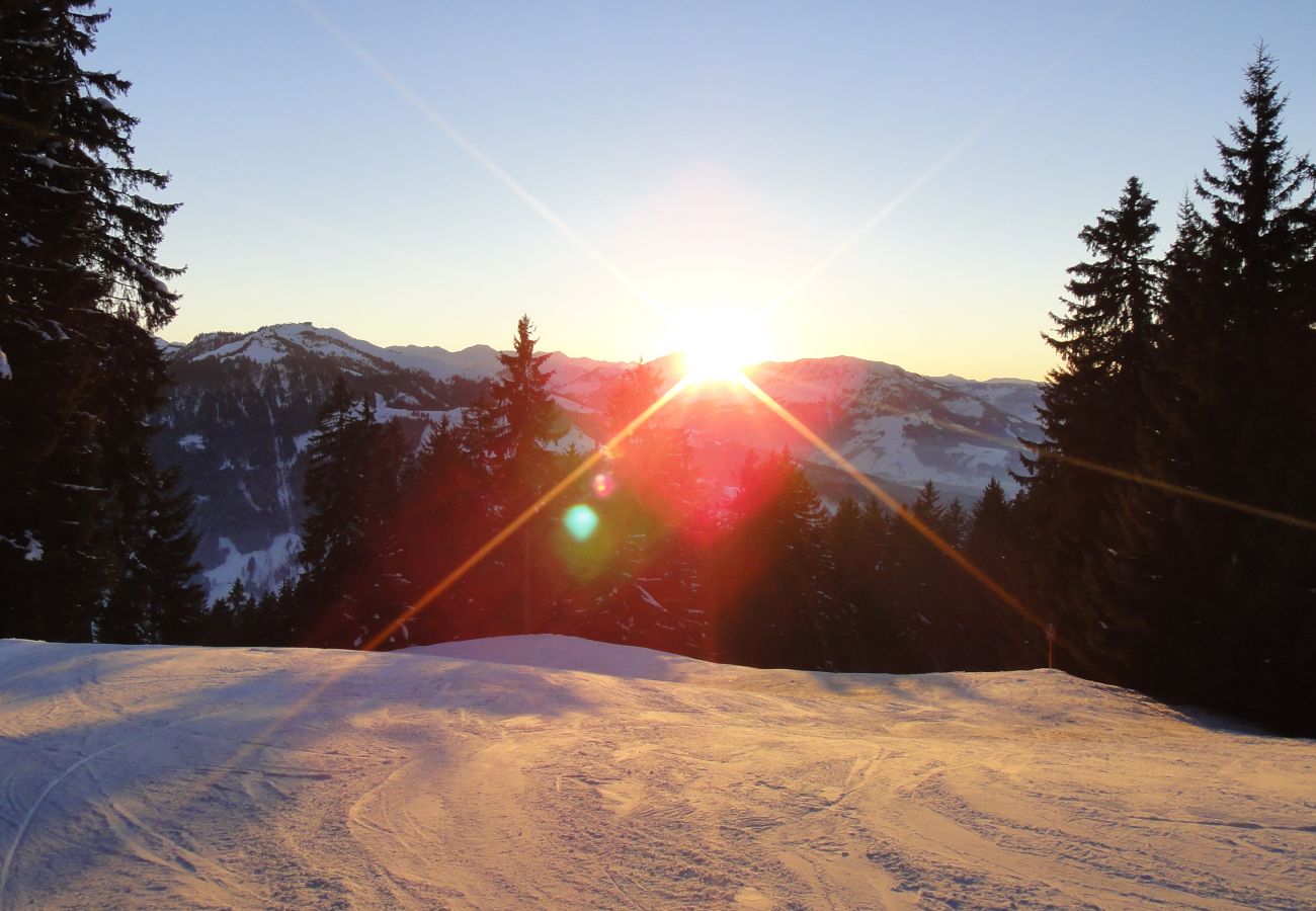 Studio in Kirchberg in Tirol - Alpine's Nest